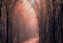 OD体育官网：连媒：马莱莱抵大连马马杜直奔海口现身球队，英博阵容逐渐成型.