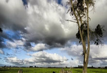 德拉富恩特：不懂为什么媒体总是关心奥尔莫和佩德里上不上.