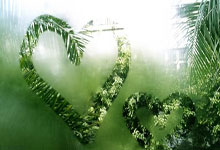 OD体育官网：吴梦洁：三句不离学习的新科.