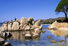 OD体育官网：连媒：马莱莱抵大连马马杜直奔海口现身球队，英博阵容逐渐成型.